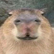 Джо Бухло